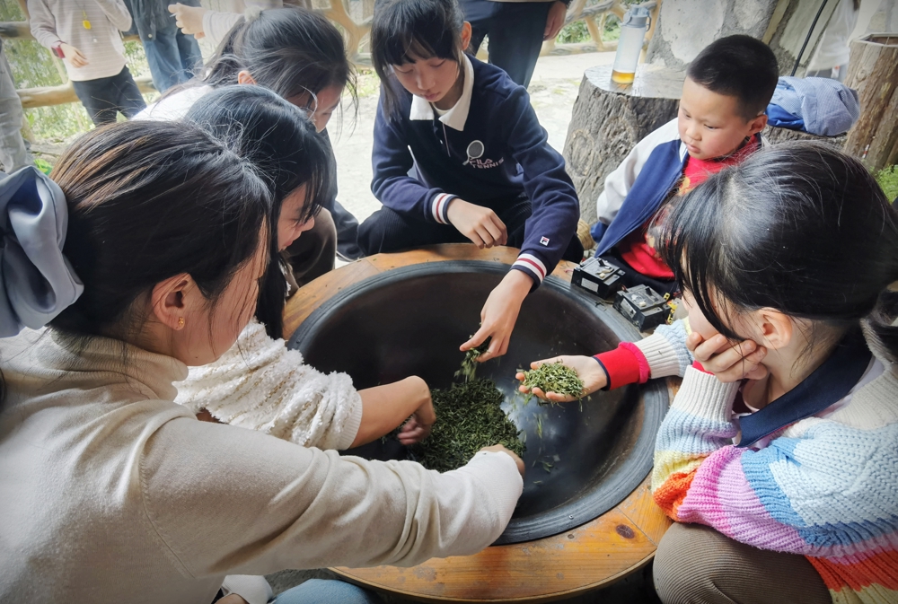 孩子们体验炒茶