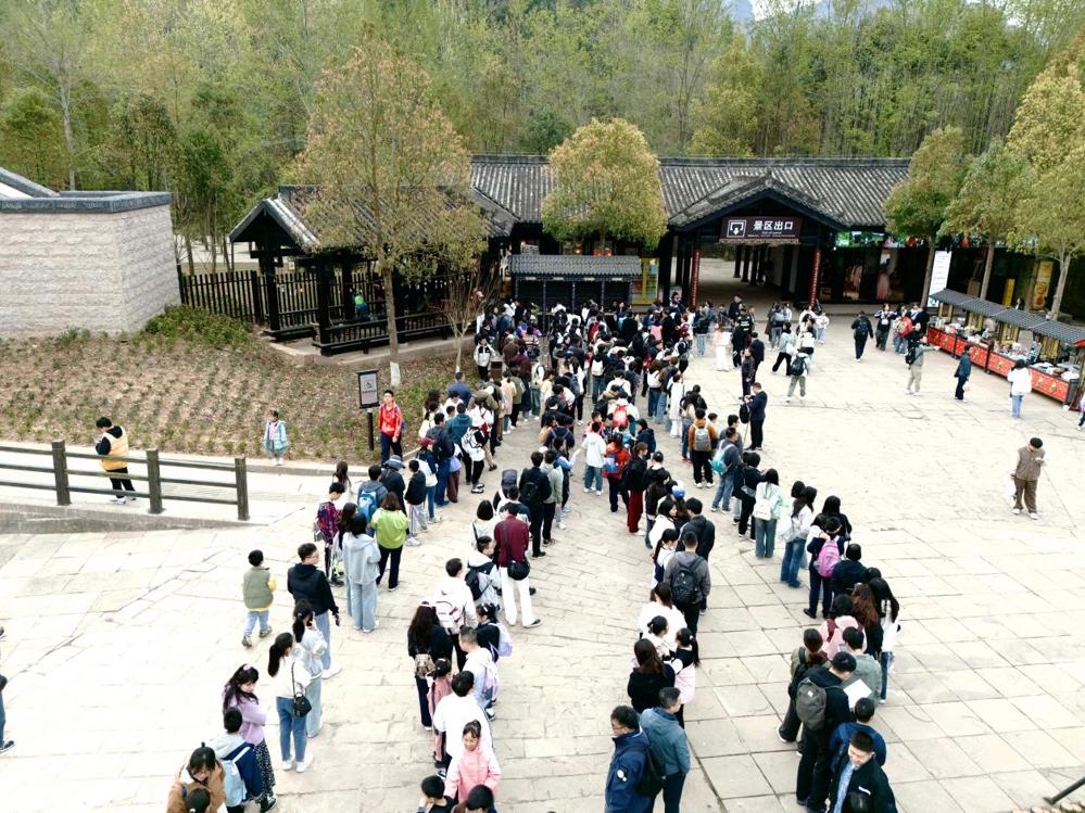 图片1