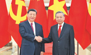 习近平同越共中央总书记苏林举行会谈