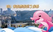 中华白海豚对话熊猫！4月26日相约成都“职”等你来