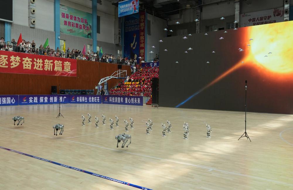 图片3