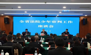 守护少年的坚实足迹  ——四川高院少审庭成立一周年工作纪实