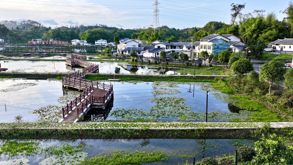 百岛湖的养殖基地（陈丁摄）
