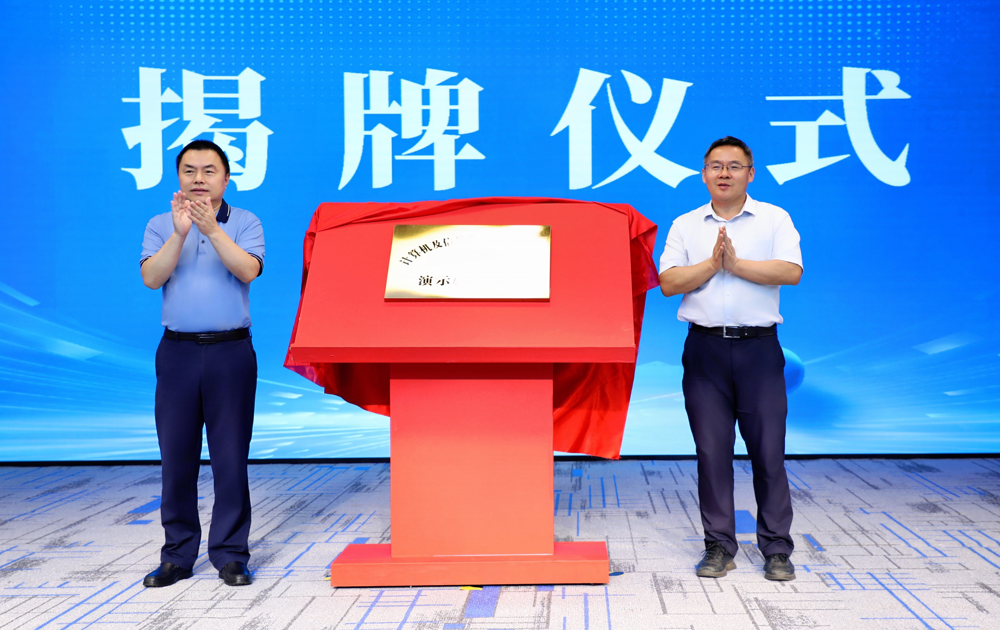 图片4