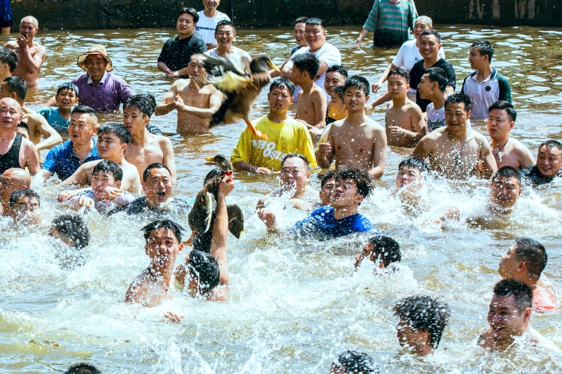 抢鸭现场 图：尹霜林