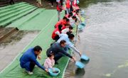 达州市罗江库区饮用水水源地增殖放流活动举行