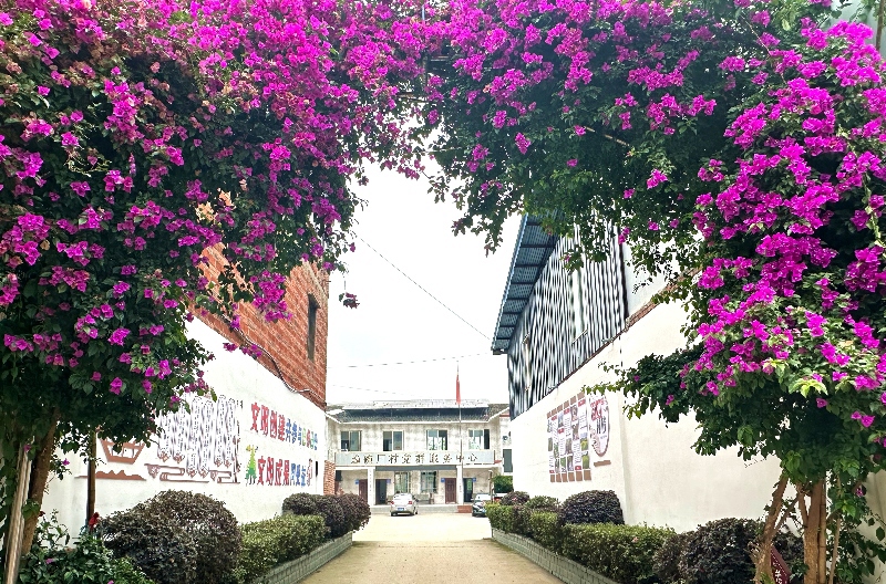 图为仁寿碗厂村村委会