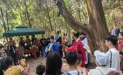 广元剑阁县：文旅融合破题，千年翠云廊焕发新生机