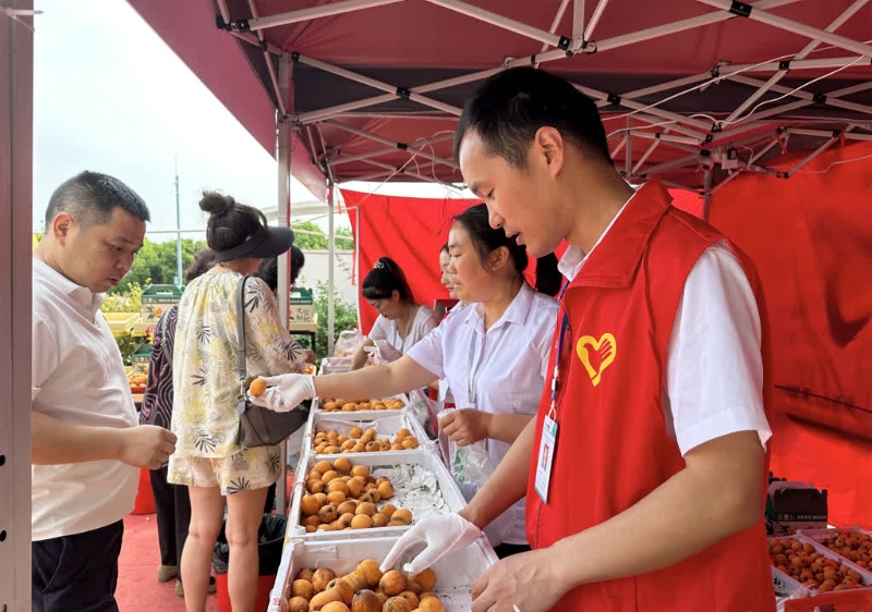 游客正在服务区选购仁寿文宫枇杷