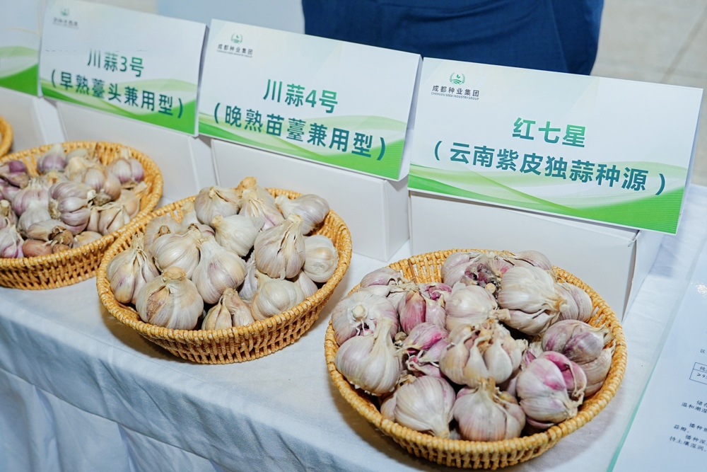 成都蒜种在昆明参展。（受访单位供图）