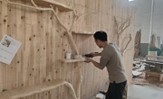 达州宣汉：“贷”动经济发展 点亮创业人生