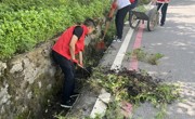 广元朝天区党建引领提“气质”， 环境整治增“颜值”