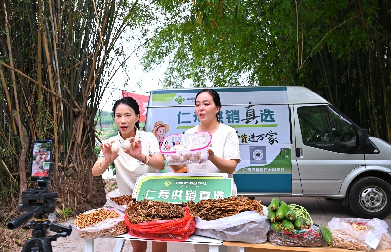 直播车正在大山村现场为农民直播带货农产品