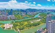 “我们从事现代化经济建设，要有长远考虑，统筹全局”