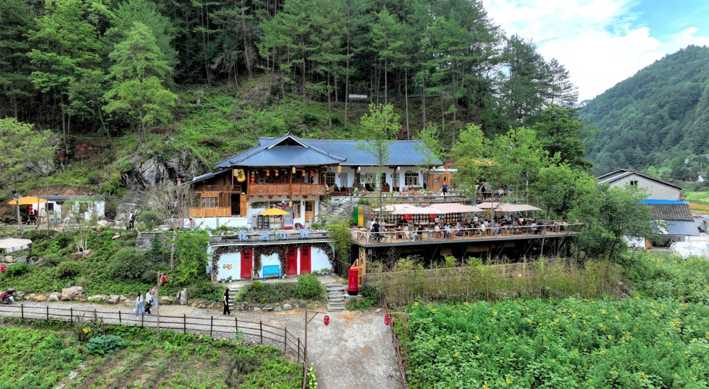 山悦 花涧集 陈平（摄）