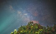 千年荔枝红 星夜抢“鲜”忙