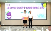 第十五届彭山葡萄推介活动开幕，现场选出“果王”