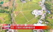 亩产创新高！达州市大竹县3万亩杂交水稻制种喜获丰收