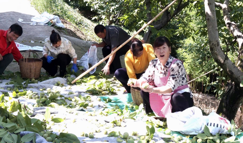 丰收的喜悦洋溢在每个人的脸上