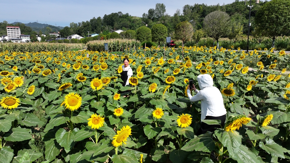 DJI_20250826093913_0731_D