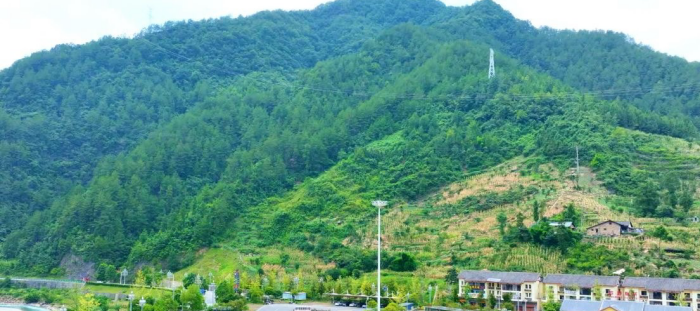 W020250827523234961143