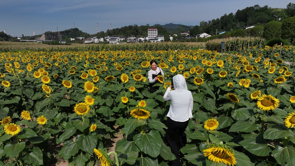 DJI_20250826093845_0729_D