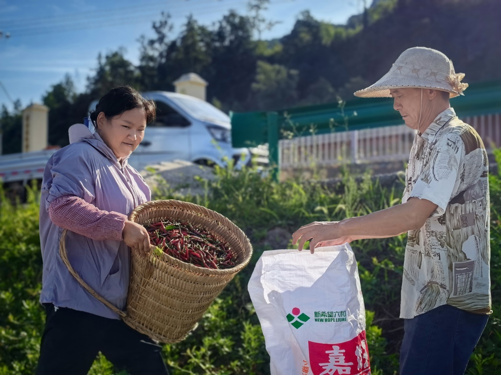 微信图片_20250828092645