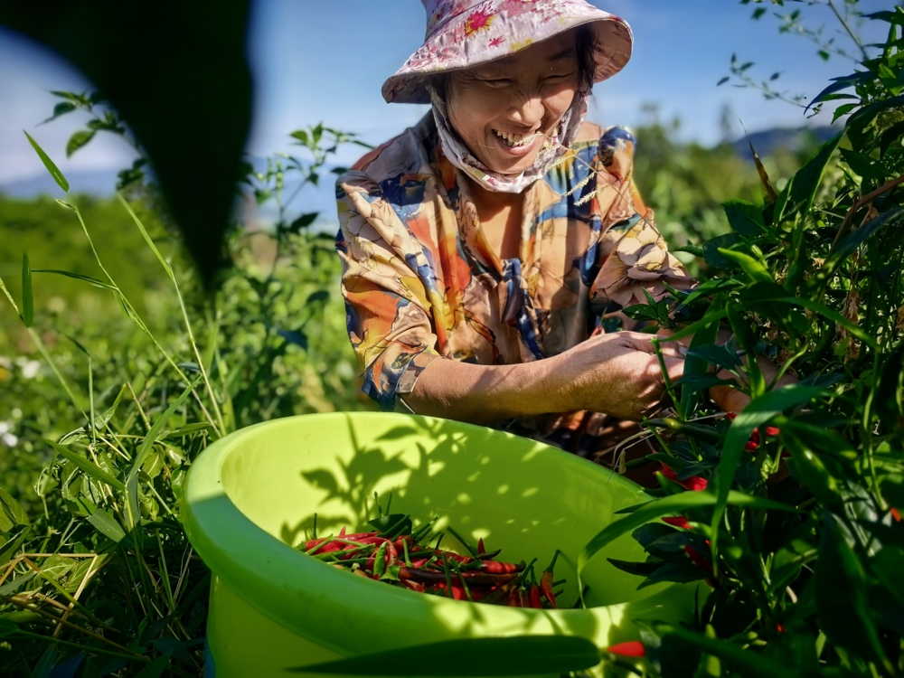 微信图片_20250828092617