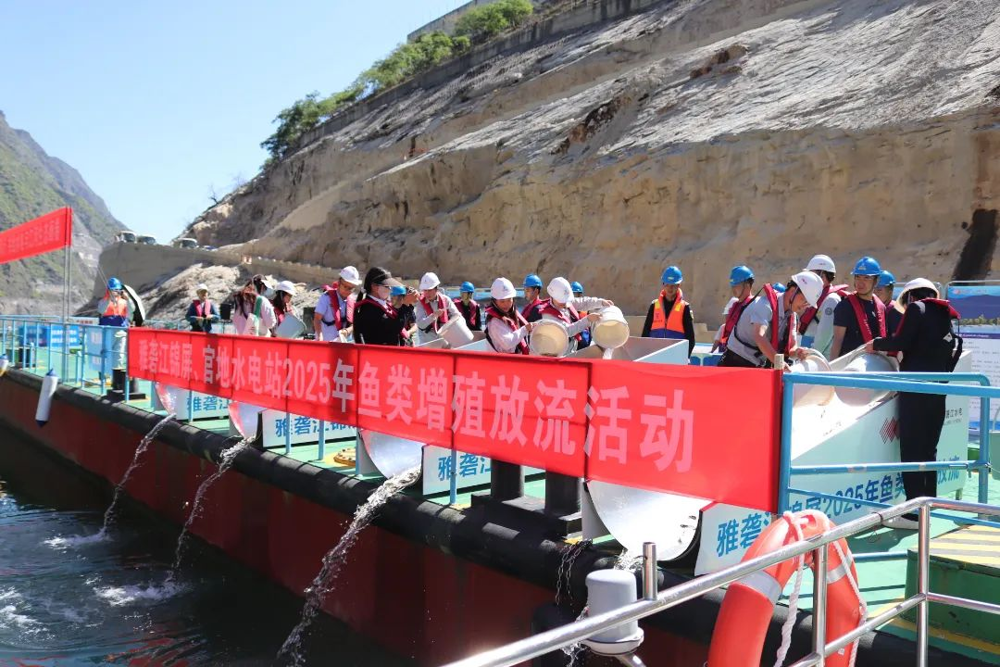 增殖放流活动现场