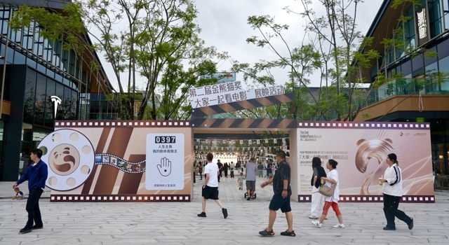 5万场电影、4千万元消费券……第二届金熊猫奖电影展映活动启幕