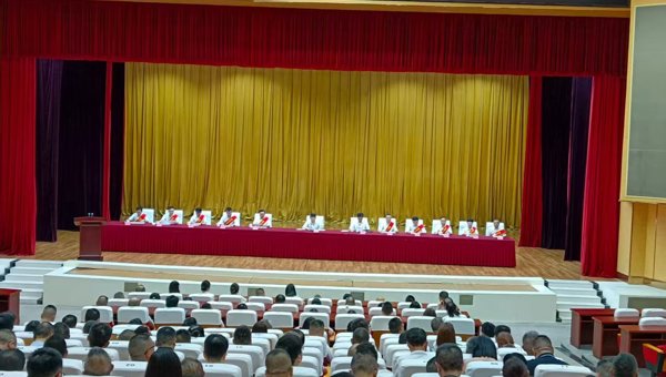 南充市嘉陵区召开工业企业产能利用提升行动推进会