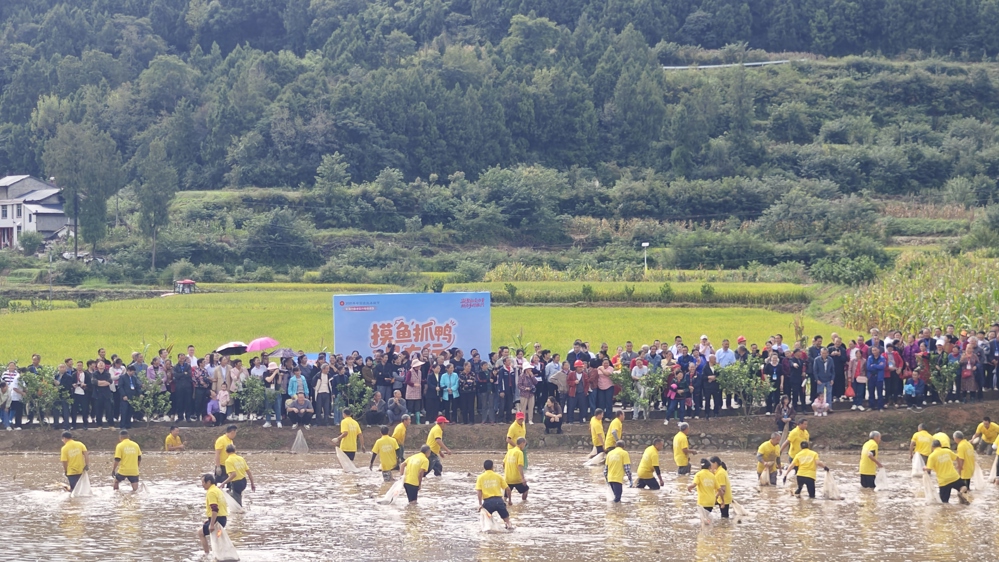 f914466bd917430ba631ae3de8aac7ad~tplv-tt-origin-web_gif