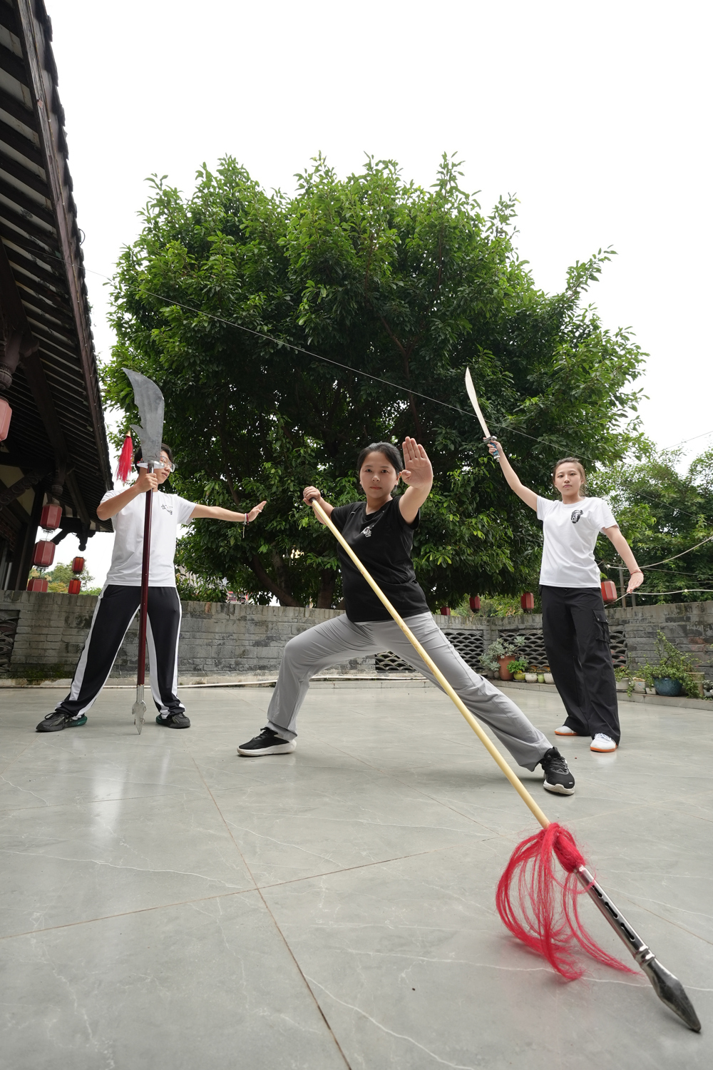 武术交流展示活动