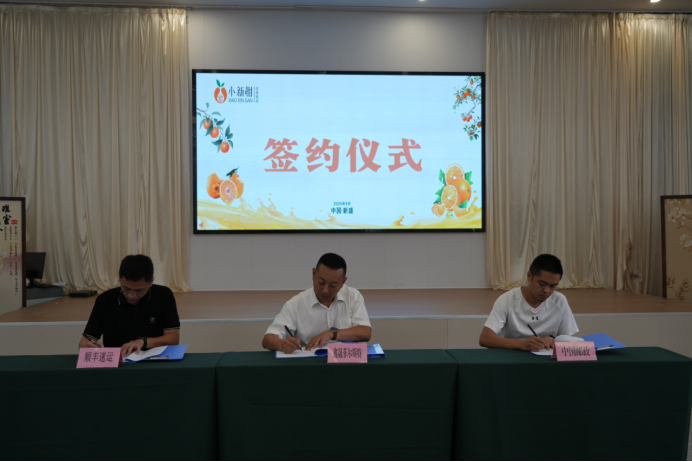 “小新柑”聚力出圈，绘就乡村振兴新画卷502