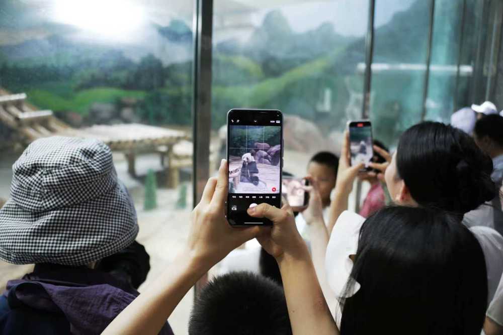 mmexport1758977421263