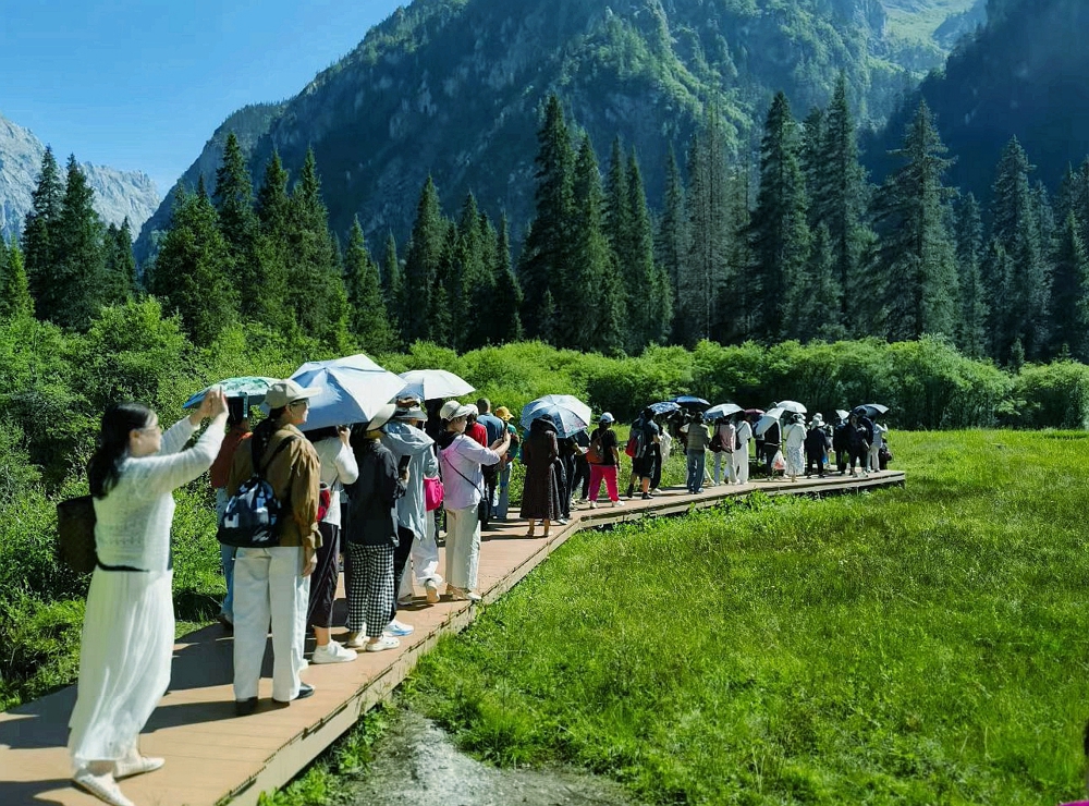 访客在王朗原始森林赏景