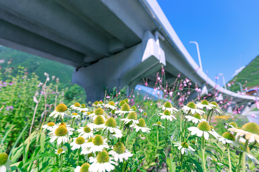 603b084f83b81c9fc9a5cc11d757def1