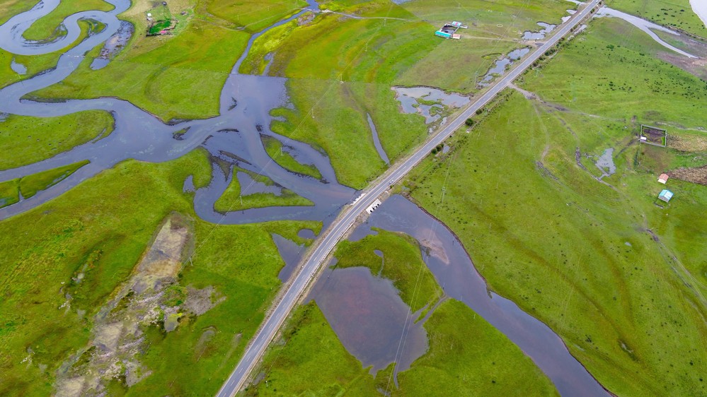 b4ec223a35659aeedbd9f1f09a2a8b01