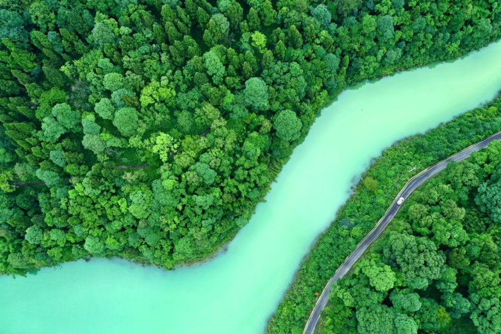                                                                                                                                           大竹县五峰山森林公园（王巍摄）