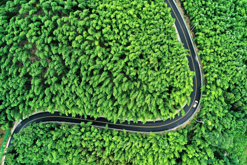                                                                                                                                    大竹县五峰山森林公园（王巍摄）