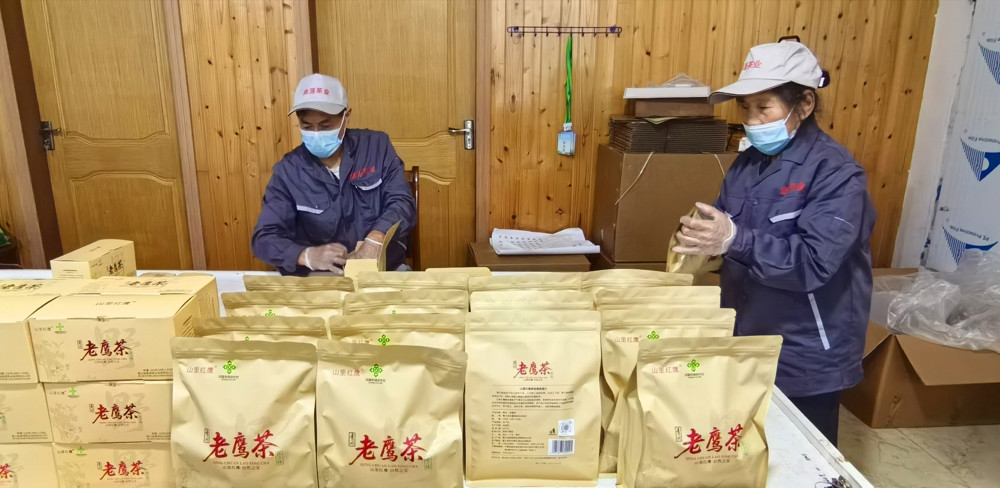 图，在企业生产车间，工人们正在包装老鹰茶