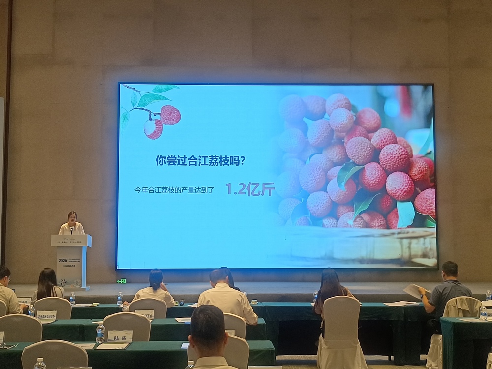 微信图片_20251017170233_91_21