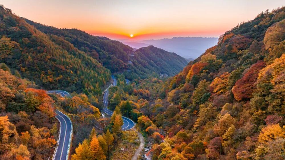 00a1f80fd5894a5f9786ef675b6208e5~tplv-tt-origin-web_gif