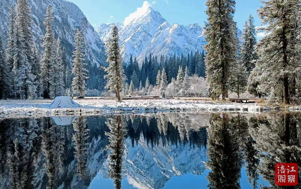 mmexportdb74ac38ed4388ef7d361f2d0bcb019c_1762500374734