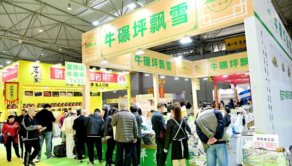 茶香满蓉城！2025成都国际茶博会启幕