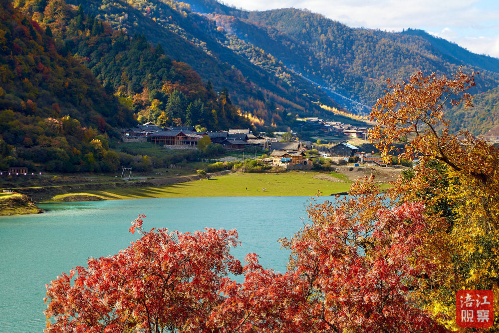 mmexport646f6f5a46180447b8344711cd65dd79_1762500392941