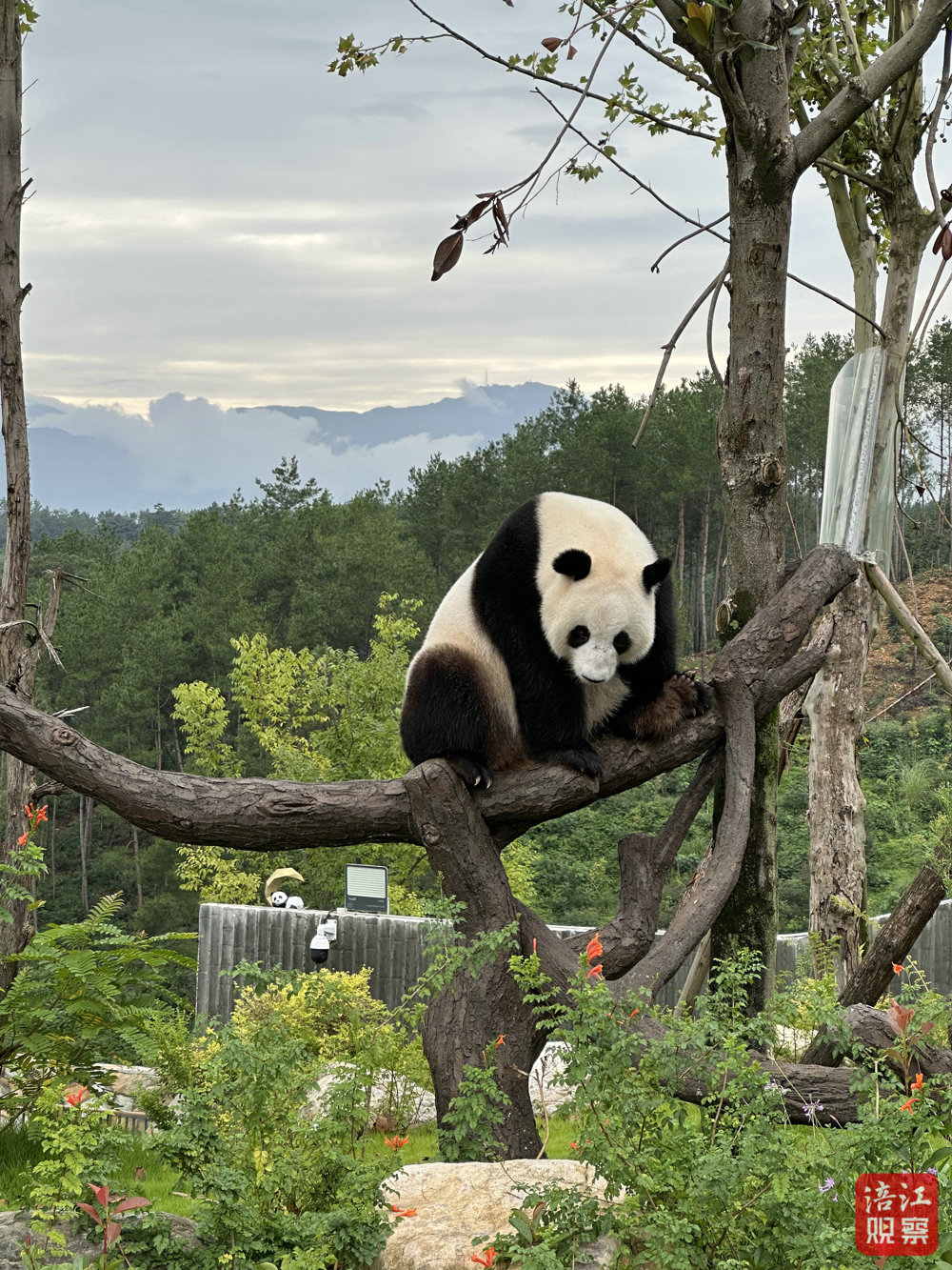 mmexportf22ffb519ce1596f35c311a95a0ae060_1762500344253