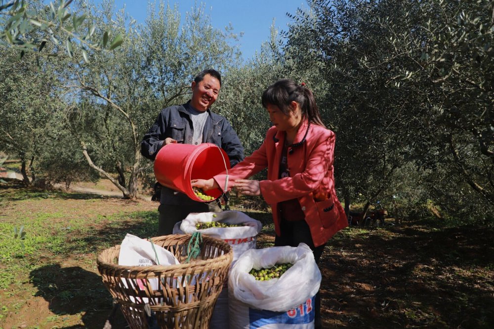 fdfe9bdd2cc8c84aad5205ddcf5746d9_proc