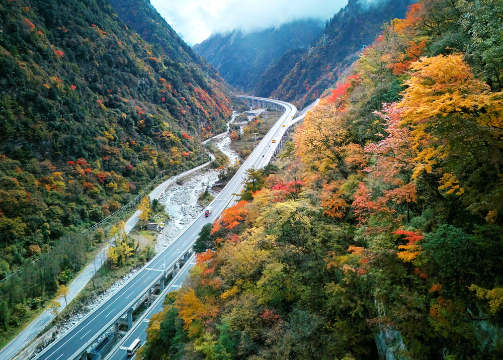彩林间的九绵高速