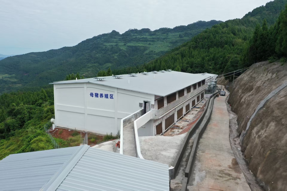 426d53eaf3a27896fc6b243bc0c8282